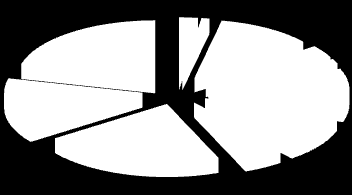 Riepilogo delle azioni A fronte dei risultati ottenuti nelle schede precedenti relativi alle singole azioni è possibile riportare in un diagramma riassuntivo le percentuali dei quantitativi di