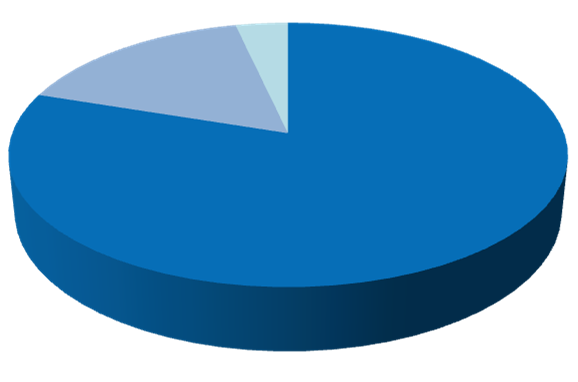 Il budget per le attività Excellent Science 10% 25% 54% 11% European Research Council Future and Emerging Technologies Marie Skłodowska Curie Actions 16% 4% Industrial Leadership 80%