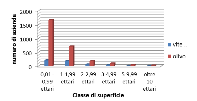 Le superfici aziendali coltivate a vite e olivo della Provincia ricadono nelle prime due categorie (fig. 14) e, come nel resto della Regione, la loro estensione è inferiore a due ettari.