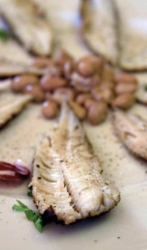 TESTIMONIANZE GASTRONOMICHE QUALCHE RICETTA carbonaretti Trota al tartufo INGREDIENTI PER 4 PERSONE: - 800 gr di pesce persico reale (carbonaretto) - olio extravergine di oliva - prezzemolo - aglio -