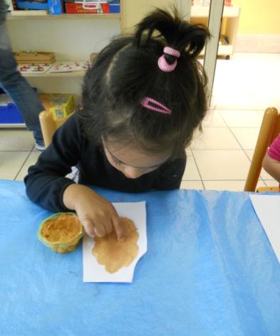 Svolgimento delle attività Le insegnanti hanno portato a scuola anche alimenti semisconosciuti o abitualmente rifiutati dai bambini per stimolare la curiosità, scoprire nuovi sapori, per incoraggiare
