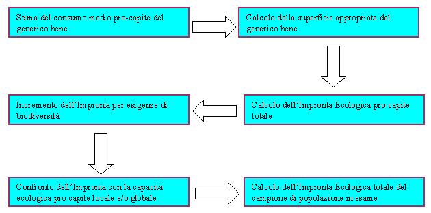 L energia e le risorse incorporate in un bene o servizio si riferiscono alla quantità totale di energia e materia utilizzate durante il ciclo di vita del prodotto, dalla produzione, al trasporto,