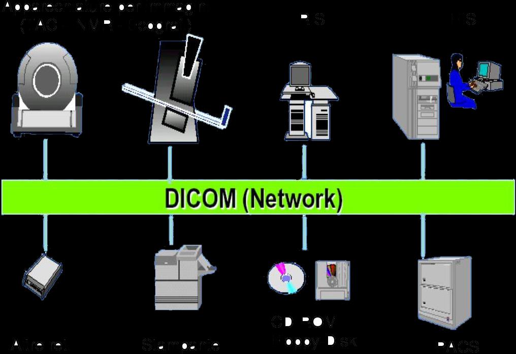 Lo Stard DICOM (1 di 3) DICOM (Digital Imaging Communication in Medicine) rappresenta un un evoluzione del sistema PACS, in quanto prevede protocolli per l interconnessione anche fisica delle