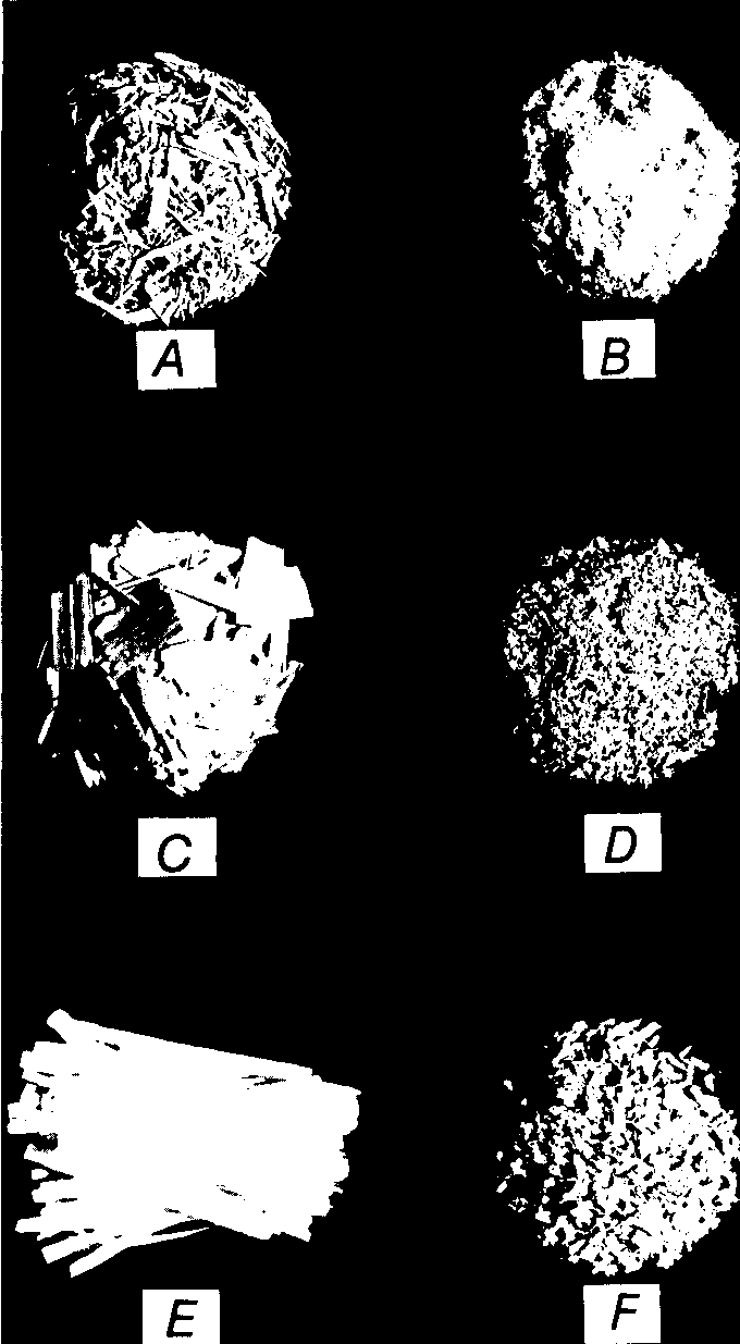 Dal fusto intero si ricavano i pali, elementi di forma grossolanamente cilindrica con sezione circolare di diametro medio di circa 25 cm, che tende a restringersi verso un estremità, e un