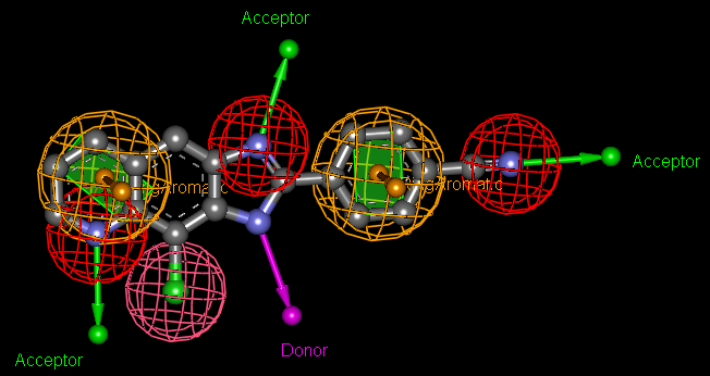 possiamo vedere dalla figura 26, in cui si descrivono le componenti elettrostatiche del farmacoforo, l azoto chinolinico del lead compound 1α si comporta da accettore di legami idrogeno (HBD), come