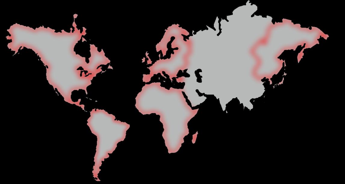 Georeferenze Le nostre Esperienze Internazionali EUROPA: ALBANIA