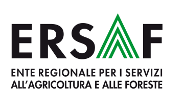 Rapporto sullo stato delle foreste in Lombardia al 31 dicembre 2010 è un progetto realizzato da ERSAF su incarico della Direzione Generale Sistemi Verdi e Paesaggio della Regione Lombardia ERSAF Ente