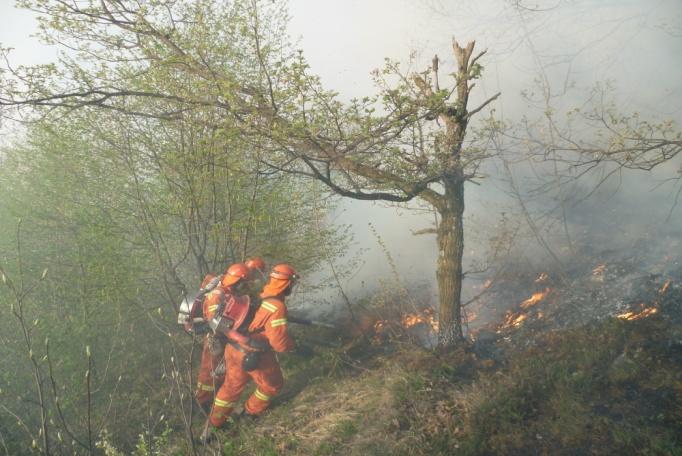 schivi (N.I.A.B.), struttura centrale specializzata per potenziare e indirizzare l attivit{ complessiva di lotta ai reati di incendio boschivo.