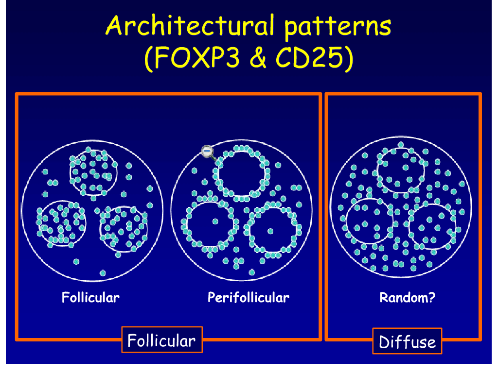 Farinha P et al.