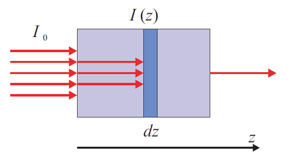 Fig. 1.14 Attenuazione del fascio di raggi X dovuta al assorbimento, durante il passaggio attraverso un campione.