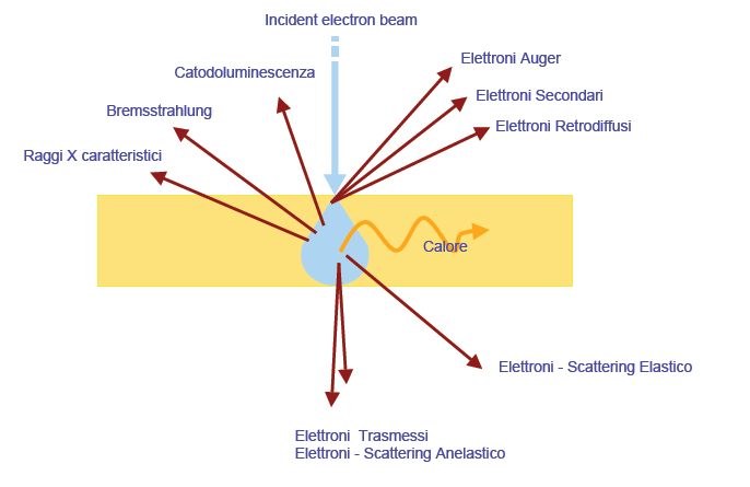 Fig. 1.16 Immagine riassuntiva di tutte le possibili interazioni tra elettrone e materia.