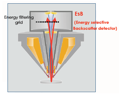 funzionamento è semplice. Gli elettroni retrodiffusi vanno ad interagire con il semiconduttore del detector e producono delle coppie elettrone-lacuna.