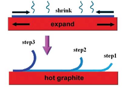 Caratterizzazione del prodotto: Microscopia Raman, SEM,