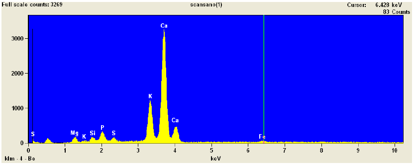 Figura 10: Spettro EDAX del campione denominato Scansano nel secondo punto I risultati emersi dall analisi SEM-EDAX del campione Scansano sono estremamente in linea con quelli prodotti dall analisi