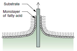 Autoassemblaggio molecolare (self-assembly) (0D) Si basa sull auto-organizzazione di molecole organiche Viene utilizzato per la cristallizzazione È necessario creare le condizioni per un