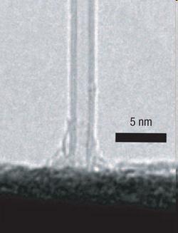 Nanowire Nanorod Nanotube WOx Nanotubo di carbonio Pt su