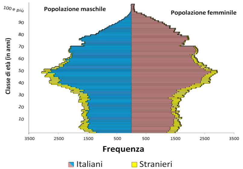. Il grafico sottostante descrive la piramide dell età della provincia di Lecco nel 2013.