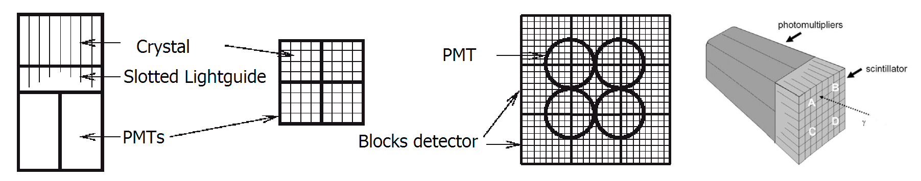 1.1 Imaging di Medicina Nucleare 5 Figura 1.