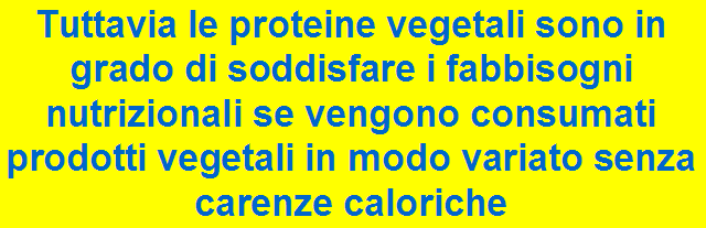 I vegetariani sono a rischio di carenze di proteine da un punto di vista