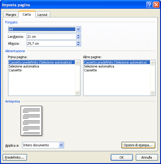 17 Le dimensioni del foglio Nel menu a discesa puoi scegliere tra diversi formati predefiniti. Il formato più diffuso è A4, il più diffuso in Italia, con le pagine misurano 21 cm X 29,7 cm.