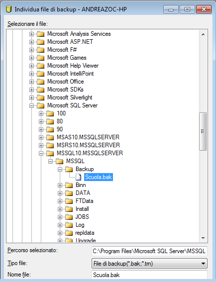 SS 2008 m1 Principianti - 103 - Voce delle opzioni, consente di accedere alla seconda sezione della finestra del backup. Scelta del database da ripristinare.
