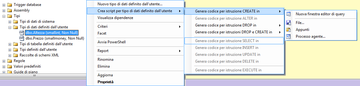 SS 2008 m1 Principianti - 63 - È possibile verificare la presenza dei nuovi tipi espandendo il nodo opportuno, come illustrato nella figura seguente: 24-2 Considerazioni sui tipi personalizzati È