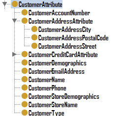 Figura 31 - Business Object (CustomerAttribute) In Figura 32 sono