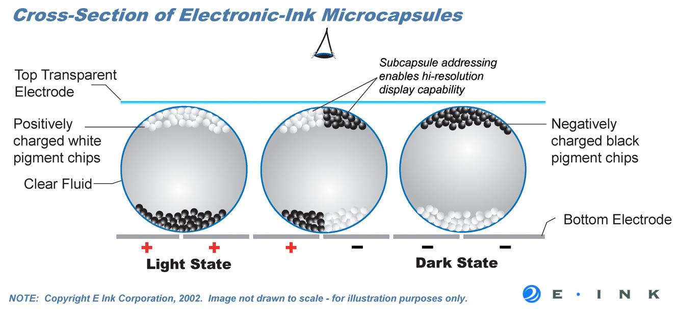 Negli schermi di E Ink ci sono milioni di microcapsule, della grandezza di un capello, che contengono particelle bianche caricate positivamente e nere caricate negativamente.
