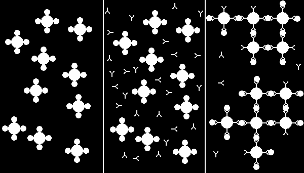 Antigeni virali adsorbiti sulle particelle di lattice Individuazione anticorpi mediante agglutinazione particelle lattice (agglutinazione passiva) Anticorpi antivirus del