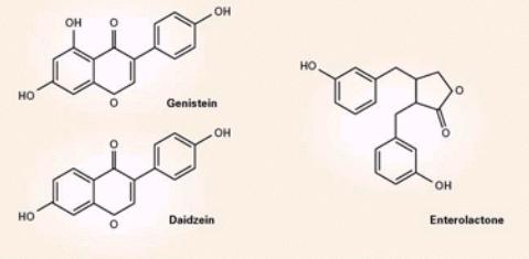 Farmaci estrogenici 17-Etinilestradiolo Lento metabolismo epatico; T1/2, 13-27 h Mestranolo