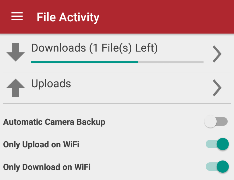 File Activity Gli utenti possono vedere l'avanzamento di qualsiasi upload o download attraverso la visualizzazione delle attività file.