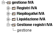 Obiettivo La scheda illustra la funzione di gestione dei registri iva.