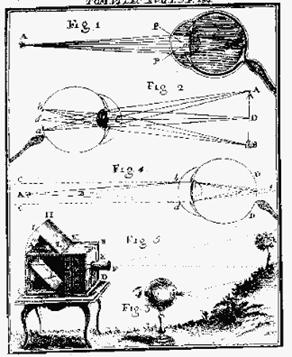 Leonardo da Vinci osserva l analogia fra l occhio e la camera oscura.