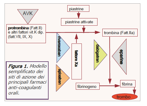 FIBRILLAZIONE ATRIALE PREVENZIONE SECONDARIA DELL ICTUS