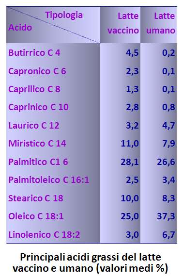 Lipidi Acido butirrico, capronico, caprilico e caprinico: caratteristici del latte dei ruminanti Acidi grassi: provengono da sangue e