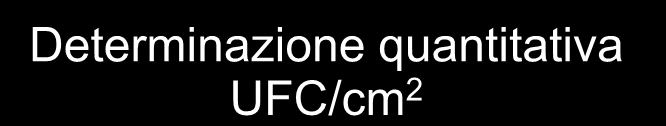 Determinazione quantitativa UFC/cm 2 Al termine del periodo di incubazione contare lo colonie cresciute in piastra.