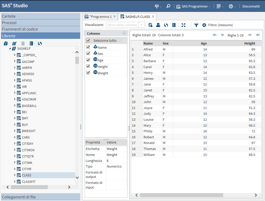 15 Capitolo 4 Utilizzo di SAS Studio per generare codice Supporto nella programmazione da parte di SAS Studio.