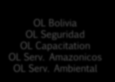 Il Gruppo Obiettivo Lavoro OL Fin OL Group OL Bolivia OL