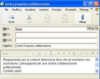 Inviare un allegato insieme al messaggio.