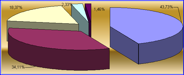 Grafico 13.