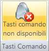 2.1.2 Azioni La categoria Azioni è suddivisa in 4 pannelli i cui bottoni variano dinamicamente in base alle caratteristiche del programma in uso e del campo che ha il focus.