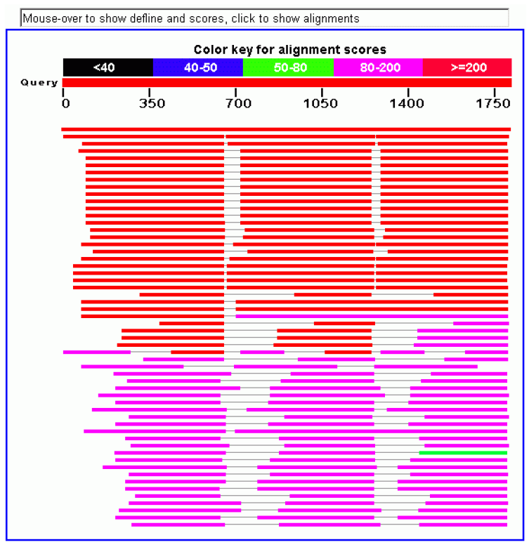 Fig. 2. Schema dimostrativo dei risultati di una ricerca di omologhi mediante il programma PSI-BLAST. Per la ricerca viene utilizzata una proteina formata da tre domini omologhi fra di loro. 3.