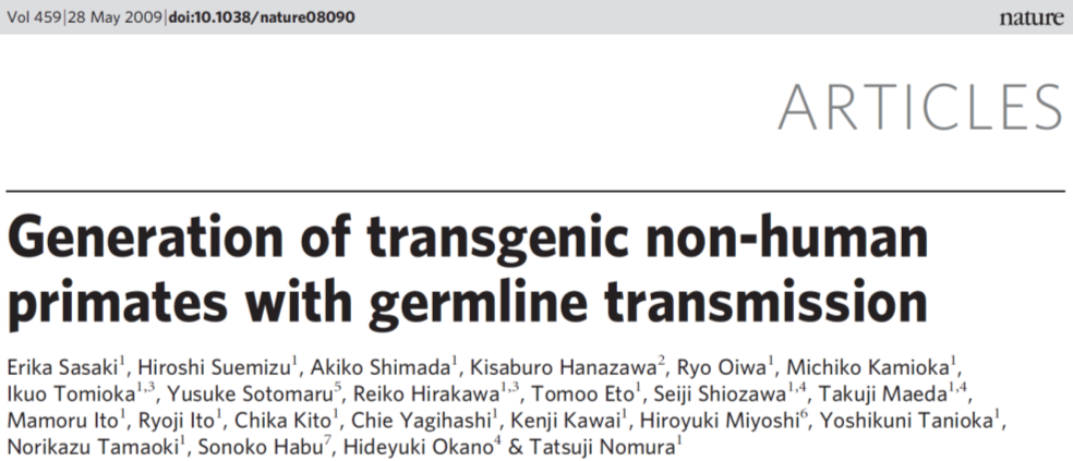 Uso di vettori lentivirali per trasferire un transgene