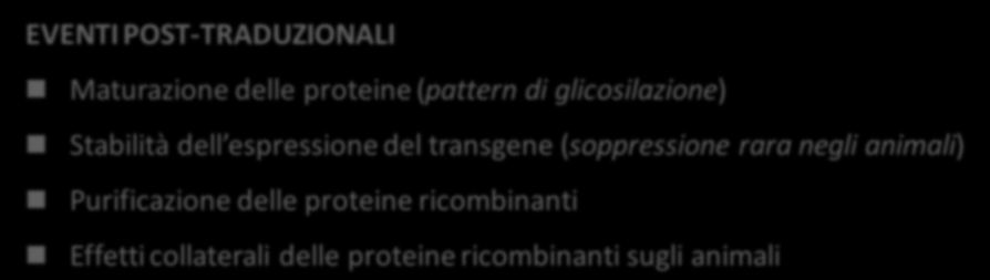 Animali transgenici per la produzione di biofarmaci (III) GENERAZIONE DI ANIMALI TRANSGENICI COME BIOREATTORI Miroinjection Gene targeting Nuclear cloning ESPRESSIONE DEI TRANSGENI Promotore