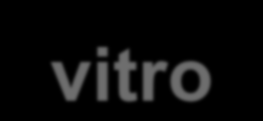 Diagnostica in vitro Ricerca in Fluidi Biologici Sangue Plasma Urine Liquor Di «una molecola» Proteine Acidi Nucleici Altro (Elementi/ altre Molecole) Immunodiagnostica Diagnostica Molecolare Chimica