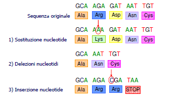 Cosa significa Sequenziare?