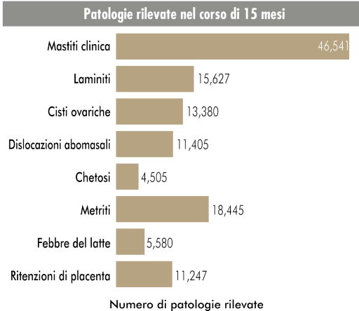 con una particolarità sorprendente: si è aggiudicata questo titolo in entrambe le occasioni sempre nella stessa lattazione, la prima volta era partorita da circa 5 mesi e la seconda da circa 17!