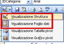 Maschere: sono moduli visualizzati sullo schermo che facilitano l'immissione e la lettura dei dati.