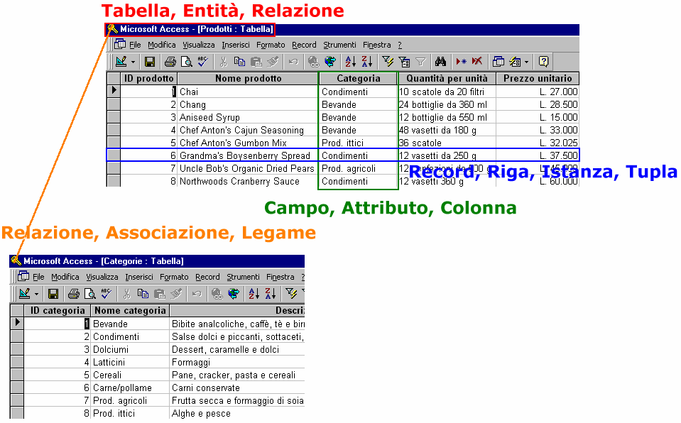 Vediamo la corretta nomenclatura per tutti gli elementi delle tabelle; Creazione del database Cominciamo con il creare le due tabelle essenziali per la catalogazione dei dati nel nostro database.