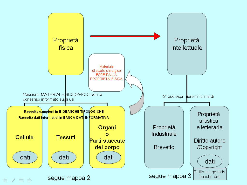 A. De Robbio, A. Corradi, Biobanche in bilico tra proprietà privata e beni comuni Figura 2: Mappa concettuale 1: intellettuale).